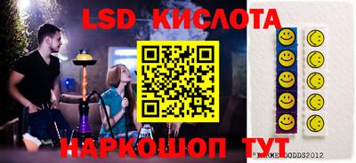 тгк Кингисепп