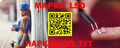 тгк Кингисепп