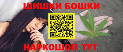 тгк Кингисепп