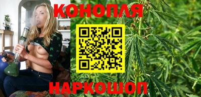 тгк Кингисепп