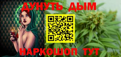 тгк Кингисепп