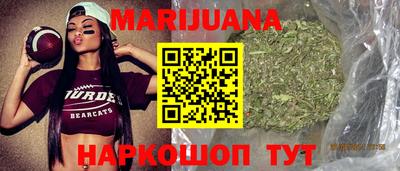 тгк Кингисепп