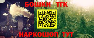 тгк Кингисепп
