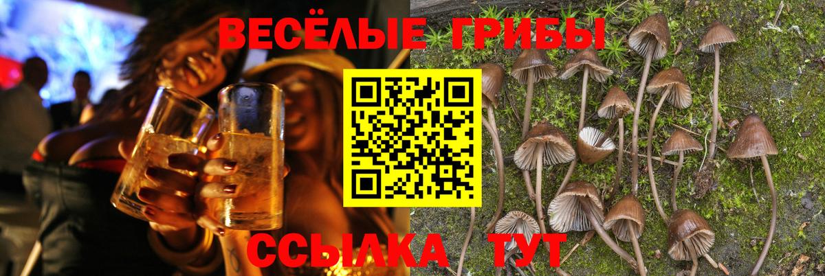 Псилоцибиновые грибы GOLDEN TEACHER Глазов