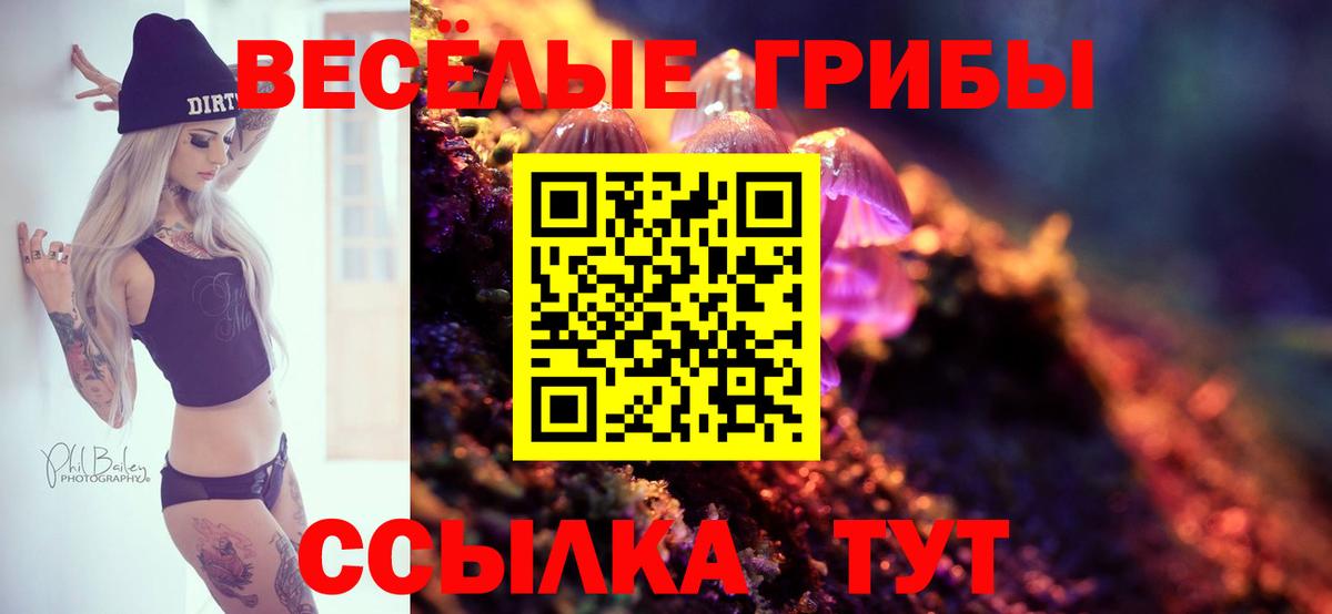 Глазов  как найти закладки  Вход с VPN  Галлюциногенные грибы Psilocybine cubensis  Галлюциногенные грибы Cubensis 